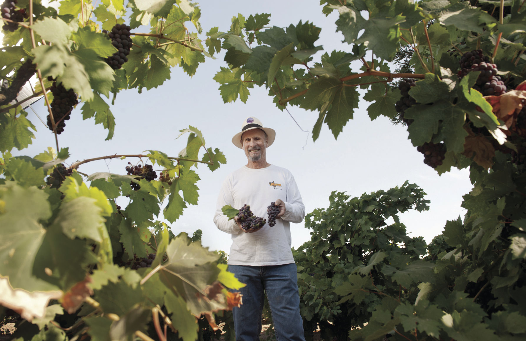 0_08_19_VERASION_THINNING_20.jpg